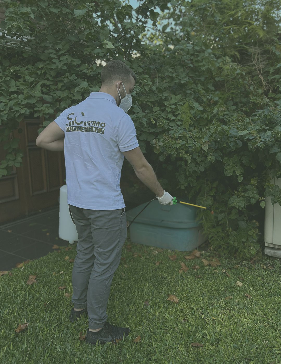 Desinfecciones para empresas